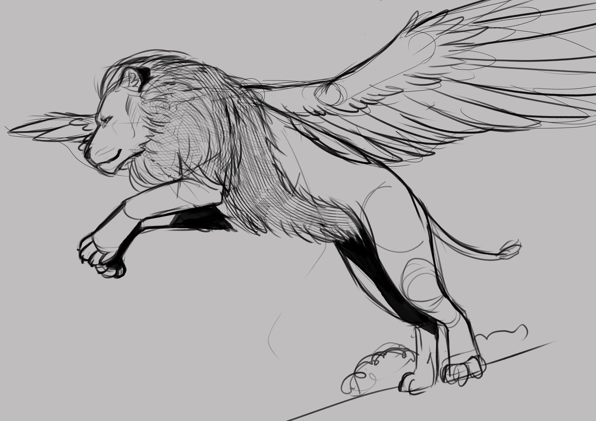 zaranea_draws's tweet photo. And some lion head studies ;) #studies #selbstverbesserungssonntag #studysunday #digitalart #lion #übung #clipstudio #csp https://t.co/ueTWpMzMel