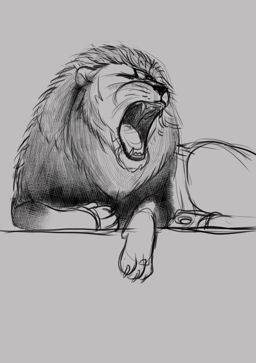 zaranea_draws's tweet photo. And some lion head studies ;) #studies #selbstverbesserungssonntag #studysunday #digitalart #lion #übung #clipstudio #csp https://t.co/ueTWpMzMel