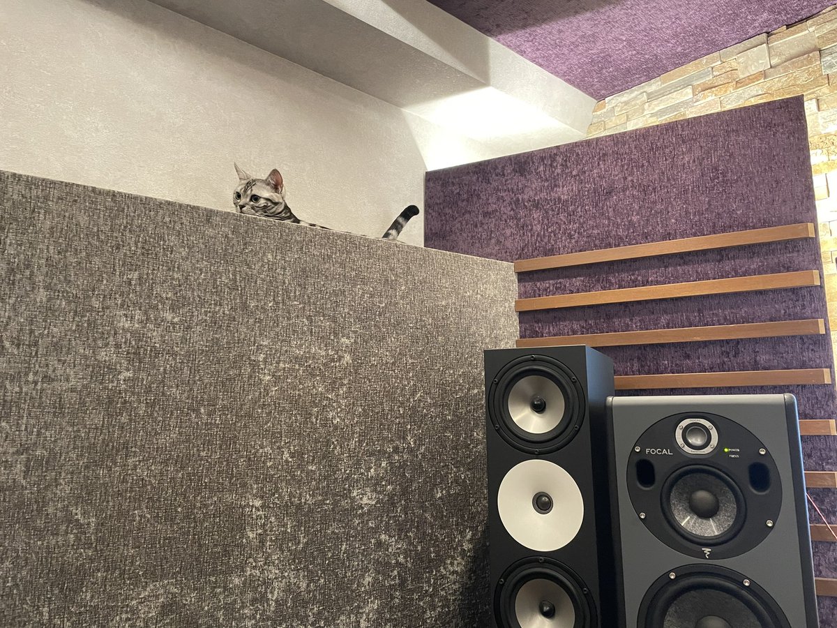 menma_the_cat's tweet photo. 飼い主がスタジオのスピーカーを縦置きにしちゃった...登りにくいじゃないの…(*´・ω・`)
※登頂後のドヤ顔をご覧ください
#amphiontwo18
#focaltrio6be https://t.co/yqEqorD4Ni
