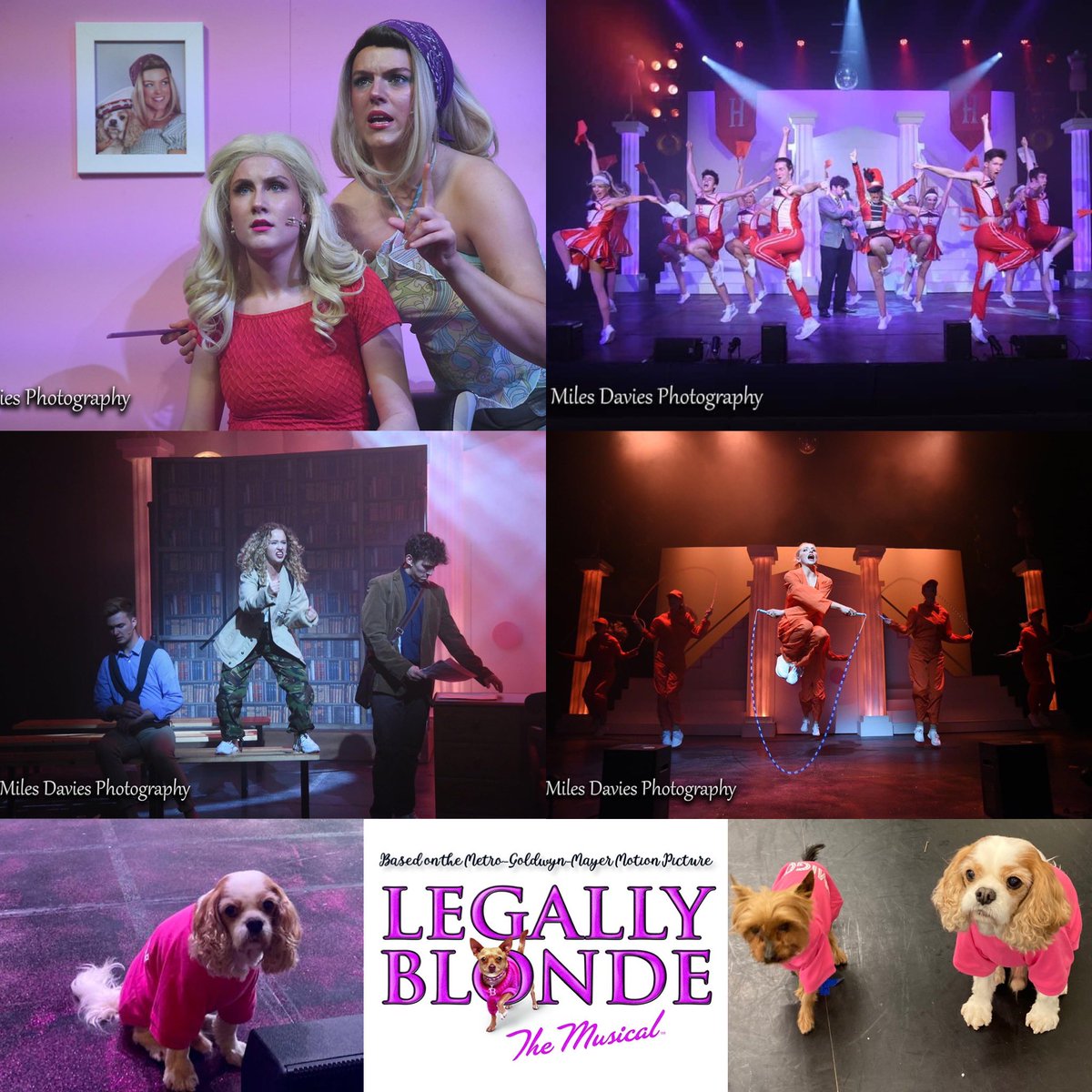 Br1ghtonAcademy's tweet photo. It’s our last two shows today of what has been a fantastic run of Legally Blonde.
Both casts have been incredible and we are very proud of them all.
Gonna miss this fabulous show.
#legallyblonde #roedean #whippedintoshape #bendandsnap #bloodinthewater #ireland #TBA https://t.co/G9ugtlpARN