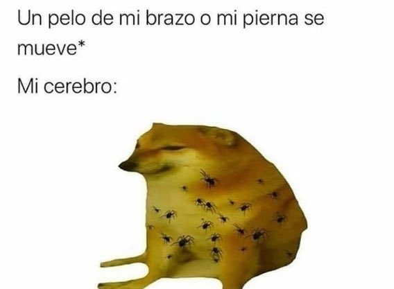 skereunpesado's tweet photo. https://t.co/OollBD1Zx1