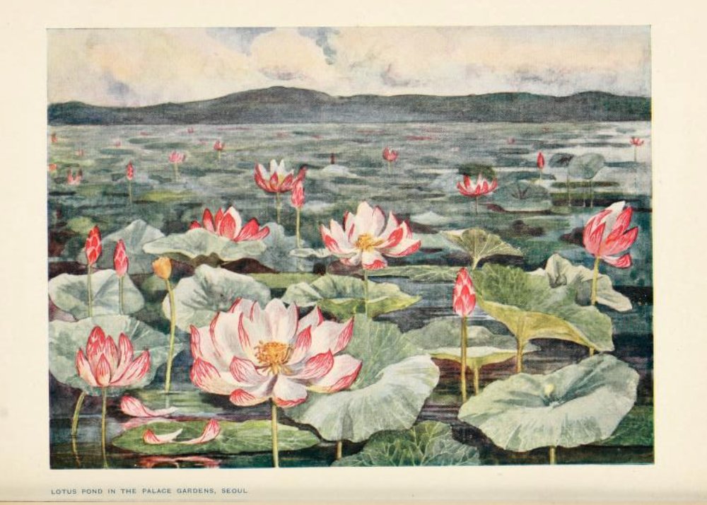 unitartuames's tweet photo. #Korea : Peeps At Many Lands, written by Constance J.D. Coulson, gives you an overview of Korean culture and traditions. The book was published in 1910 with colorful illustrations. 
🔗https://t.co/7xpCgf1UF6

#vintagebooks 📚 https://t.co/vwuZUQsZrw