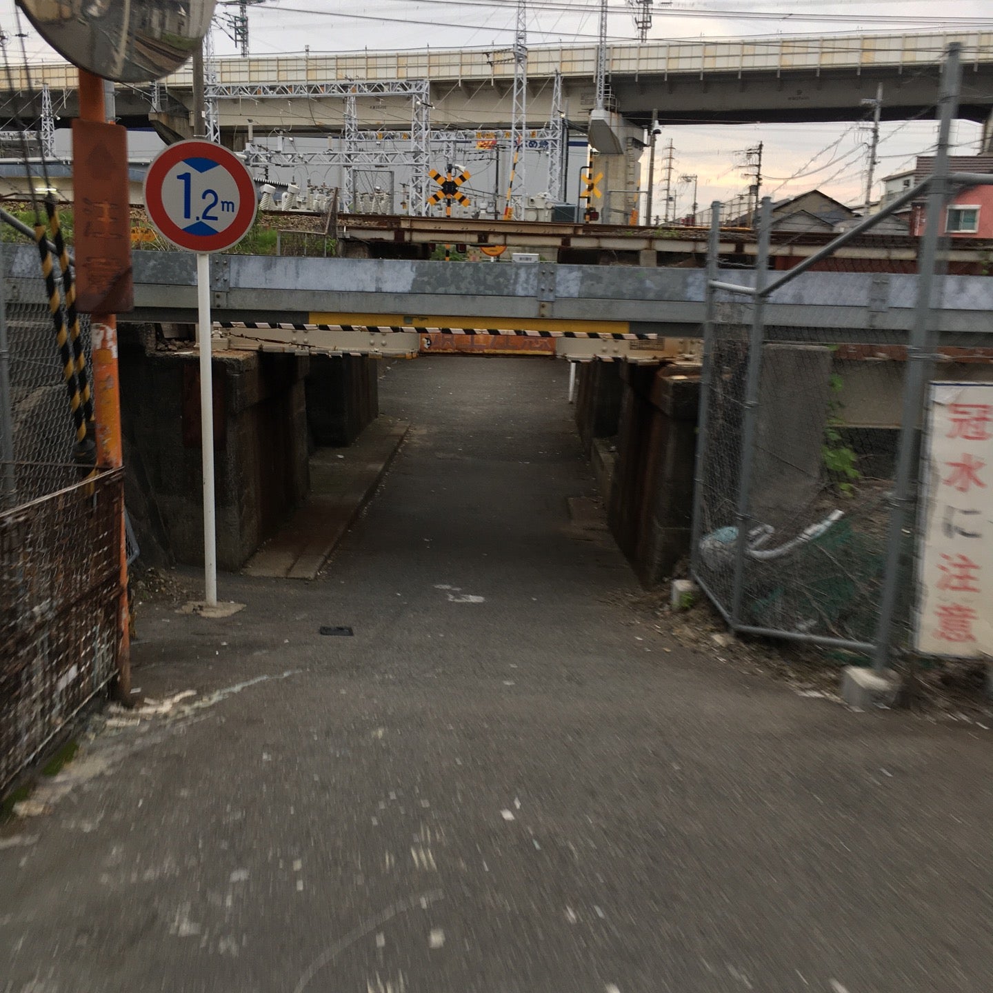 高橋 アシトレソックス（ショート） – BMZ公式