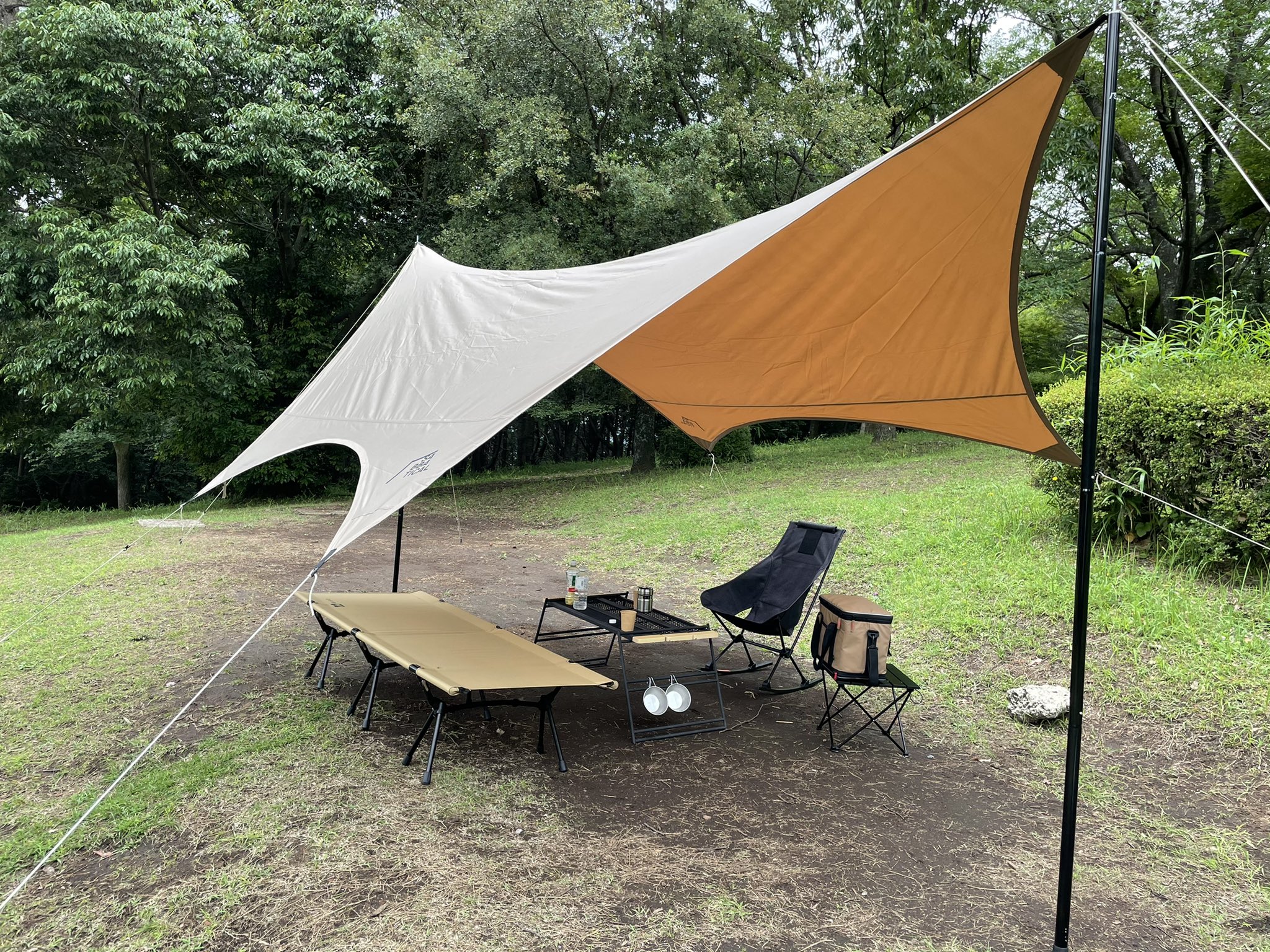SABBATICAL サバティカル ルピネ M | reddoorpediatric.com