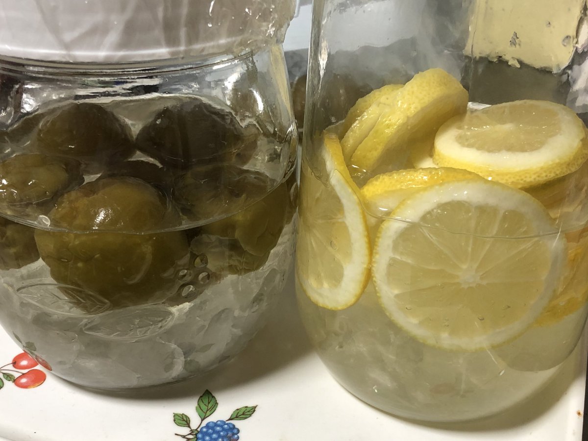 妖音 梅シロップ5日目 レモンシロップ2日目 レモンの砂糖溶けるの早っ レモン 切ってるから 瓶のサイズ違うからあれだけど 水位がもう梅と同じくらい 梅はもう2 3日もしたら氷砂糖溶け切りそう そしたら合体して冷蔵庫行きかな