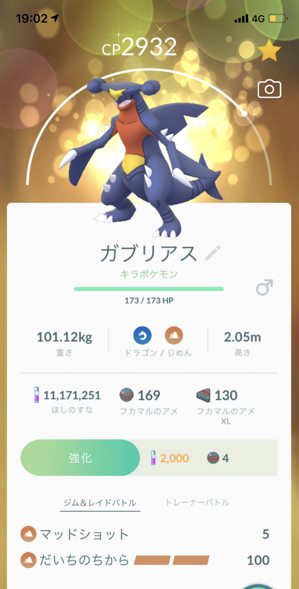 きりんがら A Twitter 個体値98 キラガブリアス だいちのちから つくれた ポケモンgo フカマル コミュニティデイ T Co 3sqoio7vmg Twitter