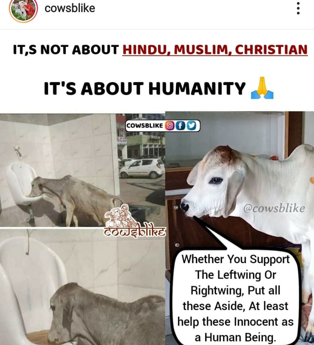 AGangadeb's tweet photo. @myogiadityanath @narendramodi @PMOIndia @AmitShah @MahantBalaknath  @SadhviPragya_MP  kya bharat mein gau mata ki haalat itni kharab ho gae hain. Government should install drinking water places for these innocent animals in every 1 km.. Please plan it and develop it.🙏 https://t.co/Pwq0eqrZby