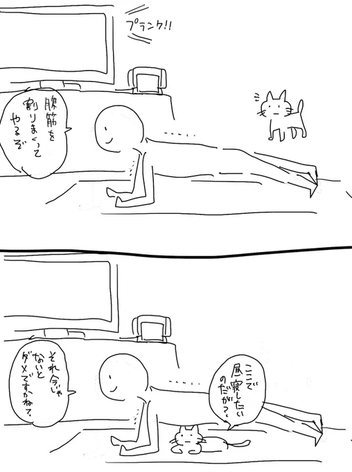 筋トレを大体猫に邪魔される 