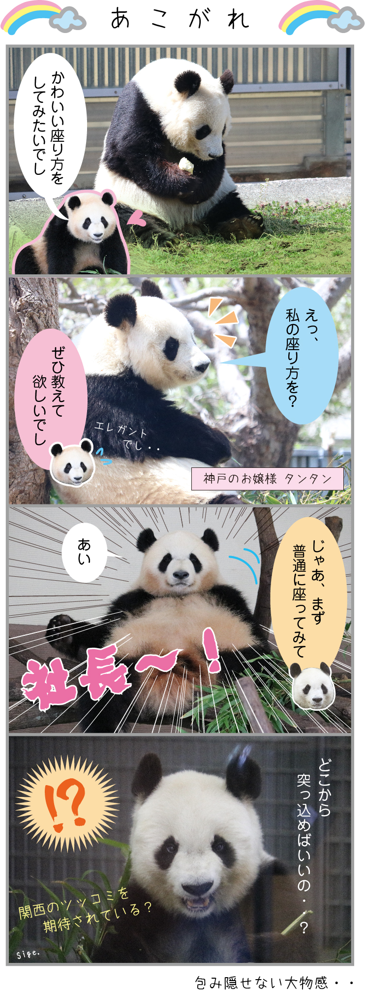 パンダライター 二木繁美 Sigepanda かわいい座り方とは 彩浜 タンタン パンダ Panda T Co Yyznw6mitw Twitter