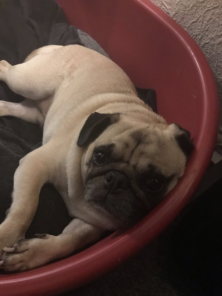 Victoria Versey tweet media