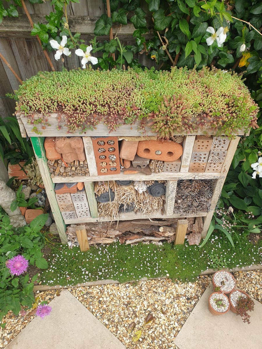 This is our #bughotel with #greenroof and sea washed bricks collected on the beaches of #northumberland and #wales #gardens #bughouse #wildlife #WGRD2021