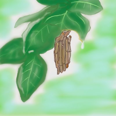 とりぞん Kotori 74 Twitter