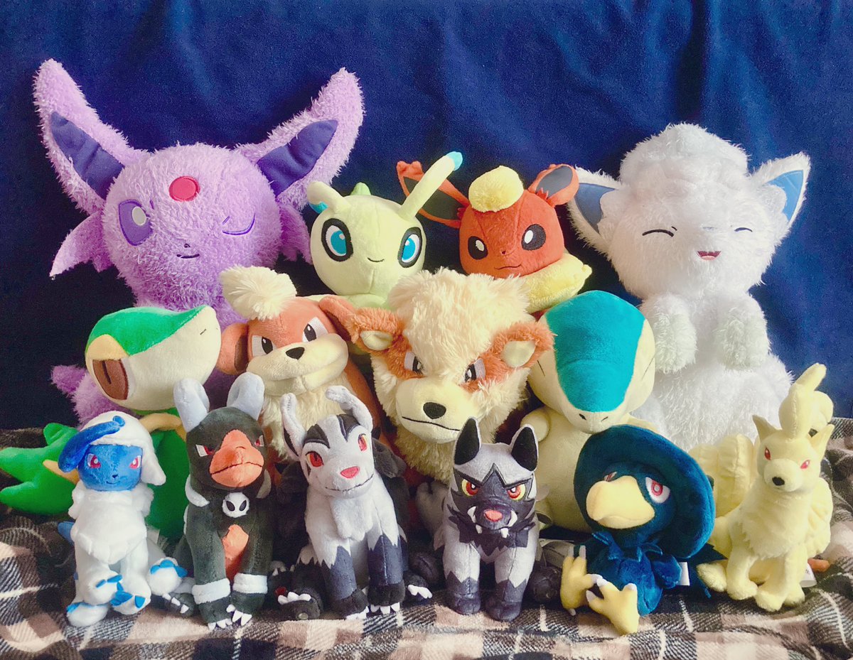 わーい!ポケモン届いた!誕生月ボックス可愛い💕
2、3枚目は今回購入したぬいぐるみとたくさん並べたくなったポケモン達 