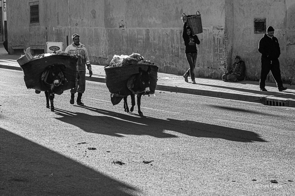In the early morning trash is brought back to a collection point to be trucked out of the Medina.
.
.
.
.
#blackandwhite #blackandwhitephoto #blackandwhitephotos #blackandwhiteonly #instablackandwhite #blackandwhitephotography #blackandwhiteart #instaBla… instagr.am/p/CPxh-fMBVjM/