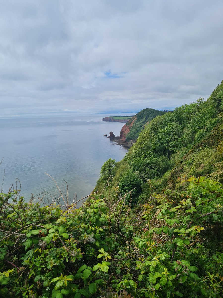 pdcornish76's tweet photo. I have walked some stunning places and seen incredible views...but this is Devon...this is home

@Jays_AIM @NAbbotCollege 
#principalschallenge https://t.co/eSwgGCWZC5