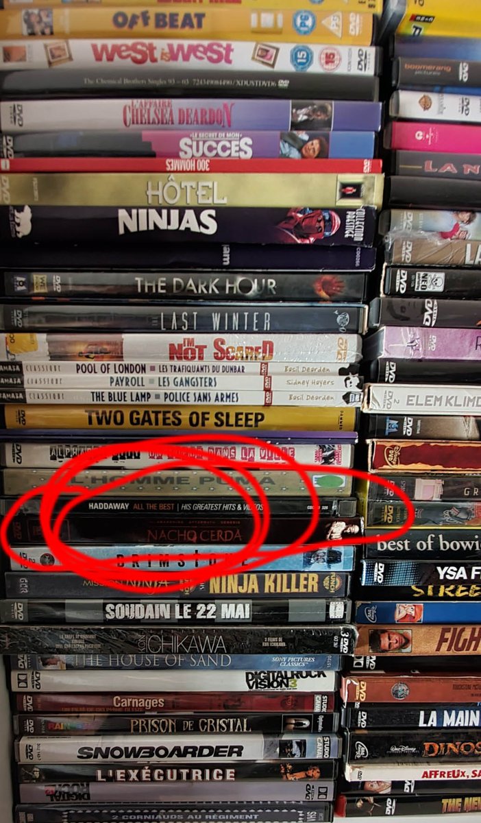 FredericMignard's tweet photo. Je comprends pourquoi ma collection de DVD est cachée loin du monde et que personne ne peut y accéder (même pas moi !)... Je dois être le seul à avoir acheté le best-of de clips de #Haddaway sur ce format. Un sacré bordel. Unique ! #collectionDVD https://t.co/EUDsJze1vI