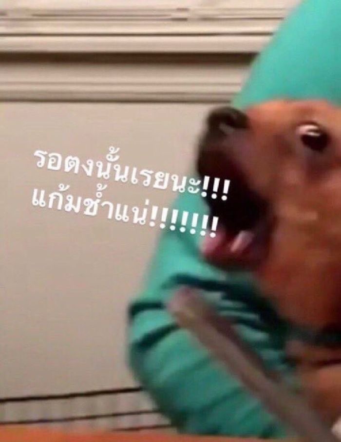 เป็นแฟนกับทุกคนไม่ได้เพราะผมมีแฟนแล้วครับขอโทษที555555