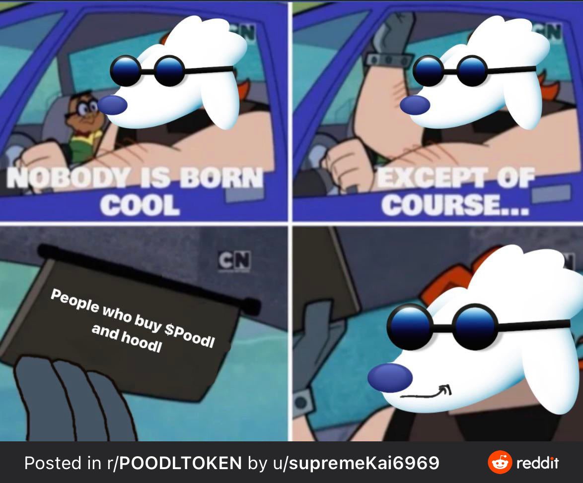 PoodlChad's tweet photo. @tyler @TimJDillon @jakepaul @benaveryisgood The #PoodlParty makes for even more hilarious convos, and much crazier Xs. Check out the #poodlcast, coming #poodlverse and the awesome @POODLETOKEN community ! https://t.co/at1Ctgk3KY