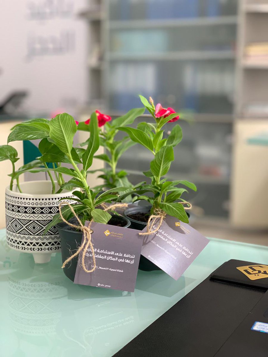 SABS_Group's tweet photo. في بادرة للمحافظة على الاستدامة البيئية، تم توزيع 80 أصيص من نبات (البفتة) على فريق العمل في المجموعة لزراعتها 🍀💚

#لنعمرها_SABS https://t.co/kmfVPEv0nO