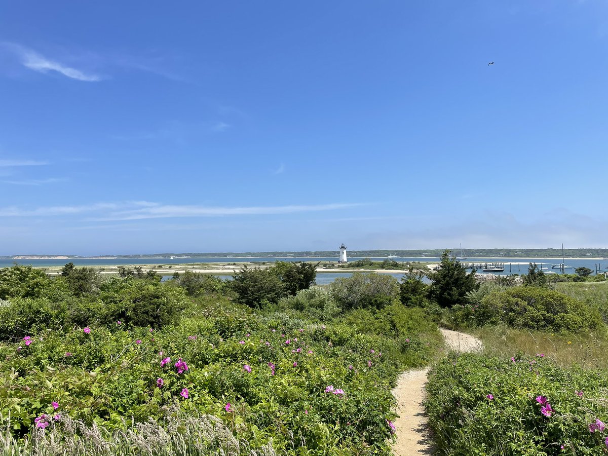a_pro2's tweet photo. Perfect weekend @HarborViewMV #marthasvineyard https://t.co/ewTDzmCOfH