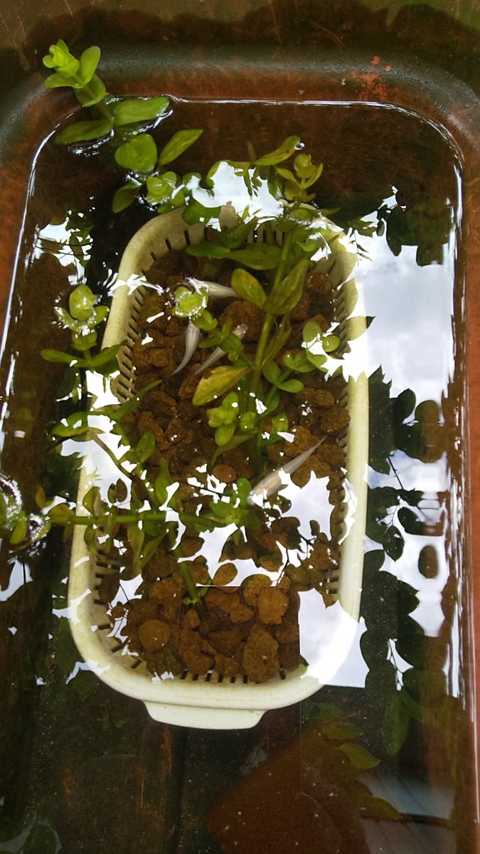 A1 80 Ab 93 97 Top Trending News