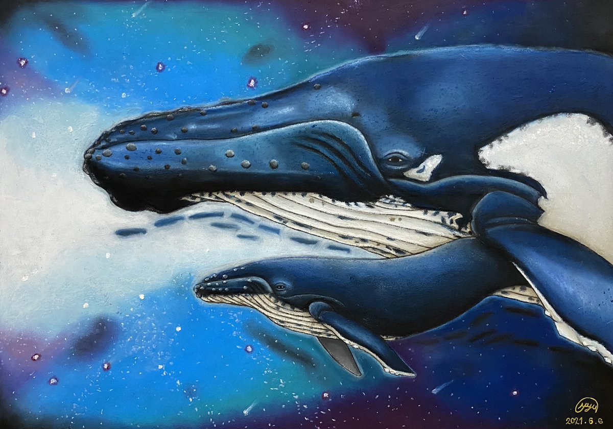 親子 A3 ザトウクジラの母と子を描きました たくさんの星が輝く空や海を感 オクダイラユウユウのイラスト 親子 A3 ザトウクジラの母と子を描きました たくさんの星が輝く空や海を感 オクダイラユウユウのイラスト