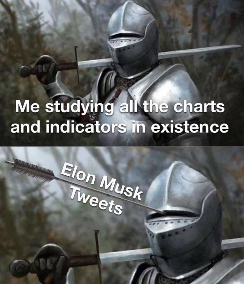 Elja tweet media