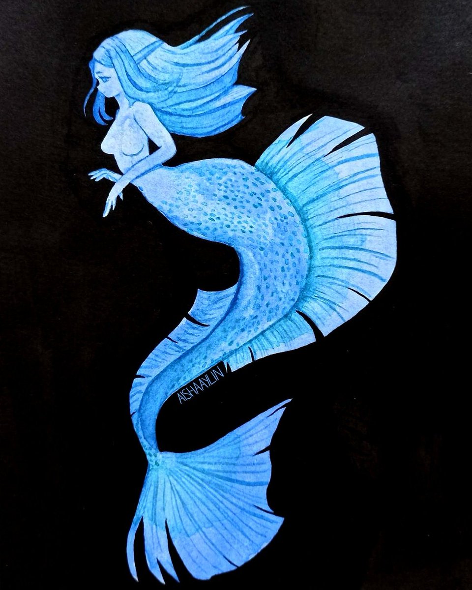 aishaaylin's tweet photo. This was inspired by the betta fish 🐟
#mermay #Mermaid #art #Watercolour #traditionalart https://t.co/d99AWTZ3NO