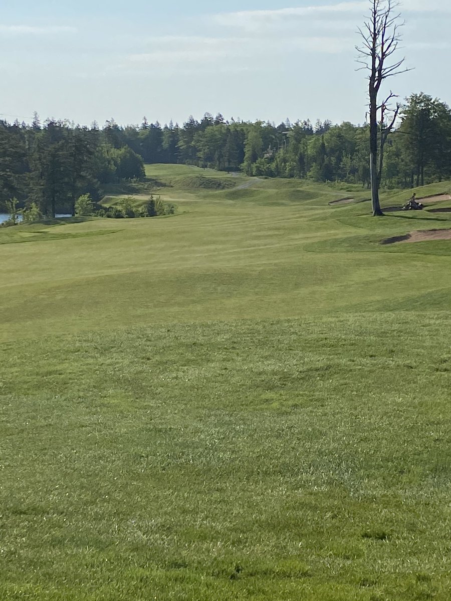 The first real warm morning. The bent grass will shine with all this heat.