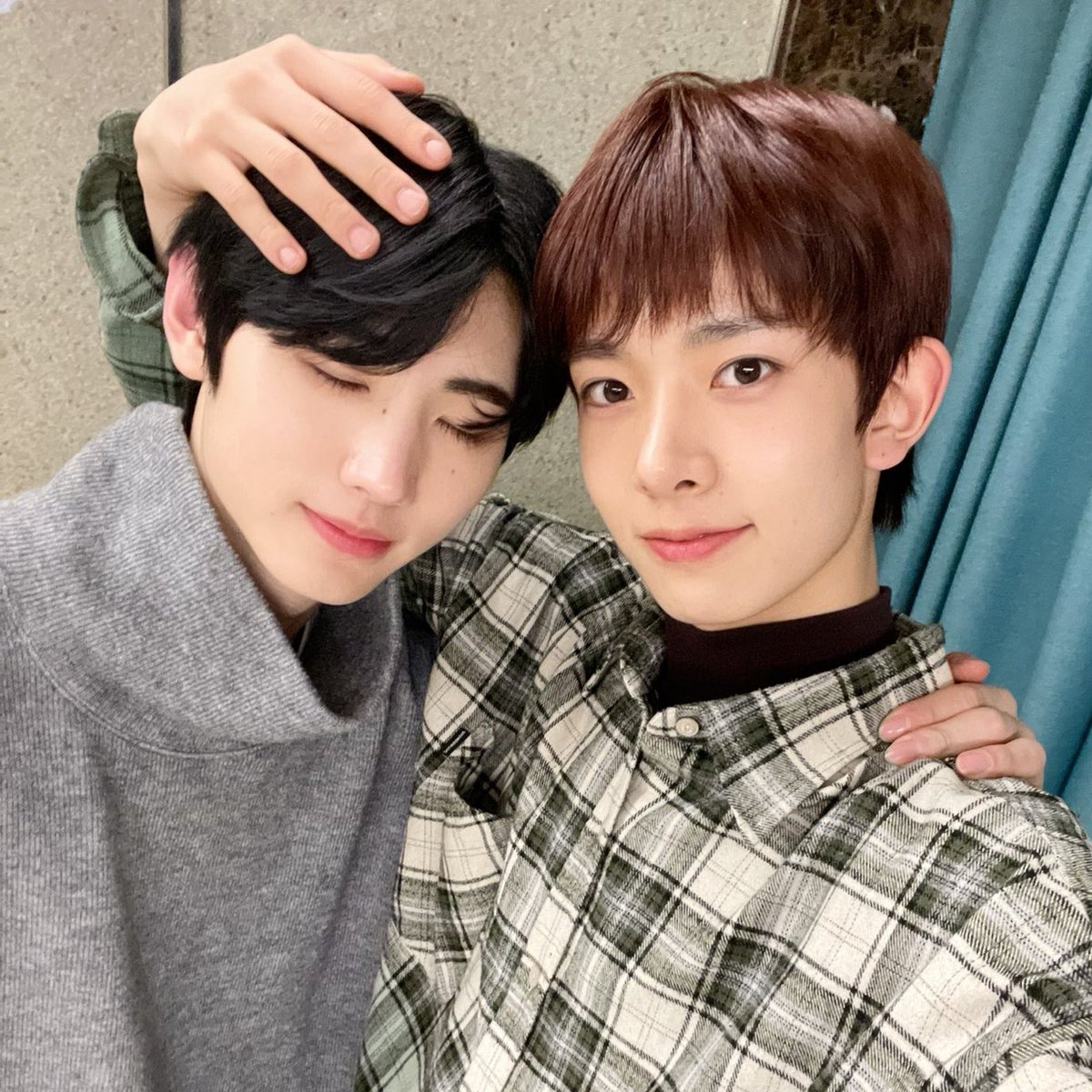 初めてケミに沸いたのは🐧🦌だった。ミルタンズ🥛🥕って名前がつく前