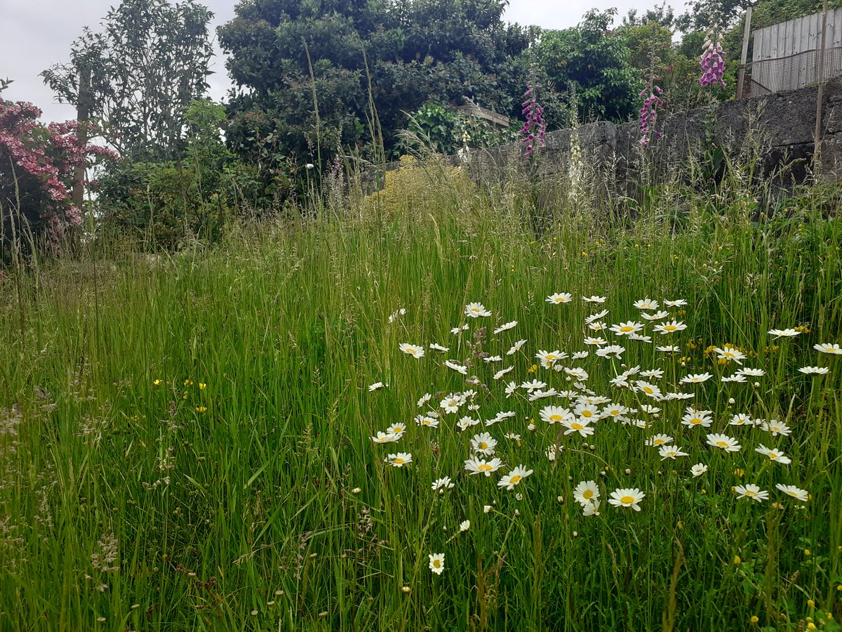 Jon Keepen tweet media