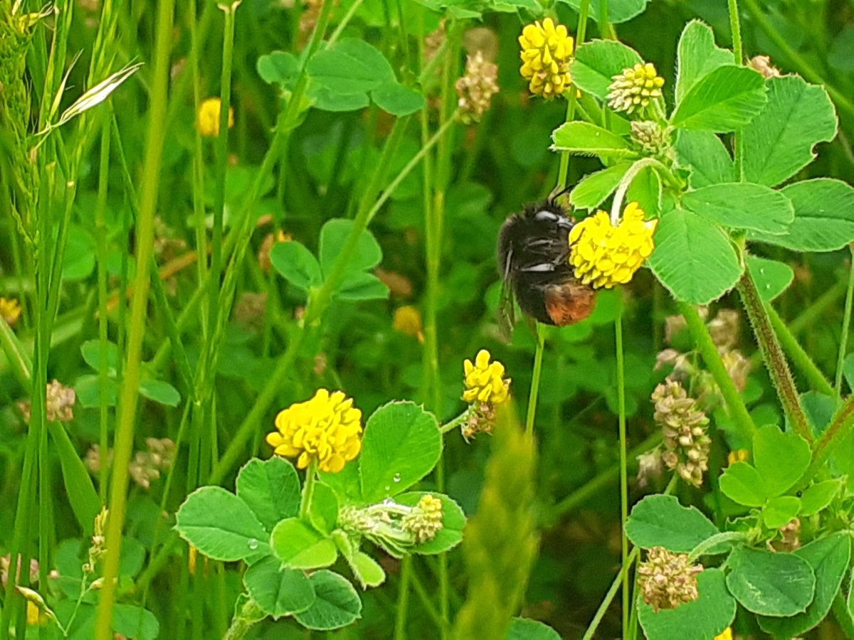 Jon Keepen tweet media