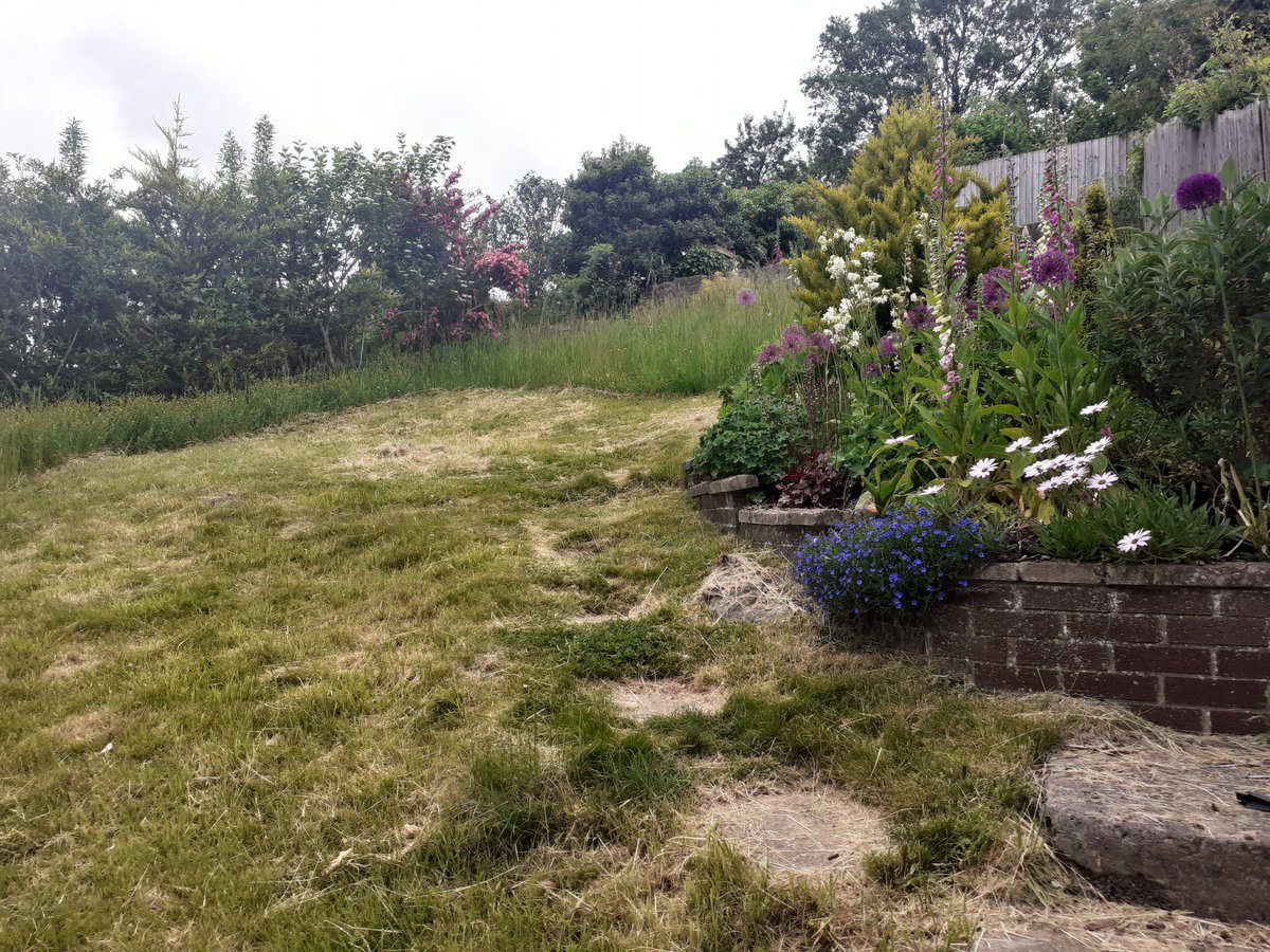 Jon Keepen tweet media