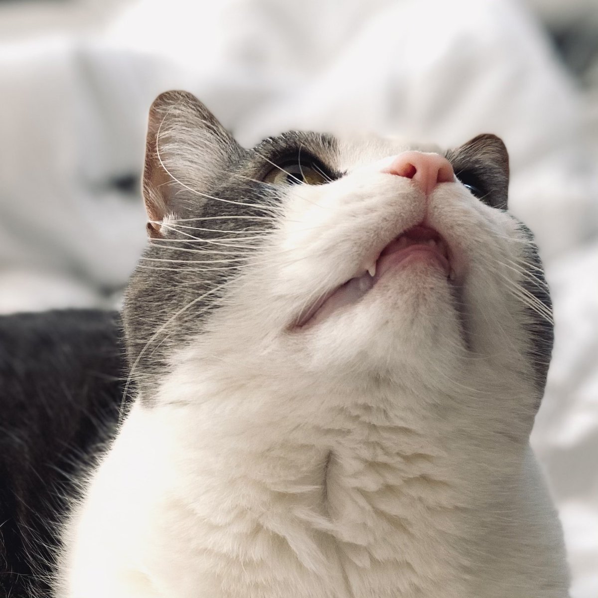 Persistent Woman tweet media