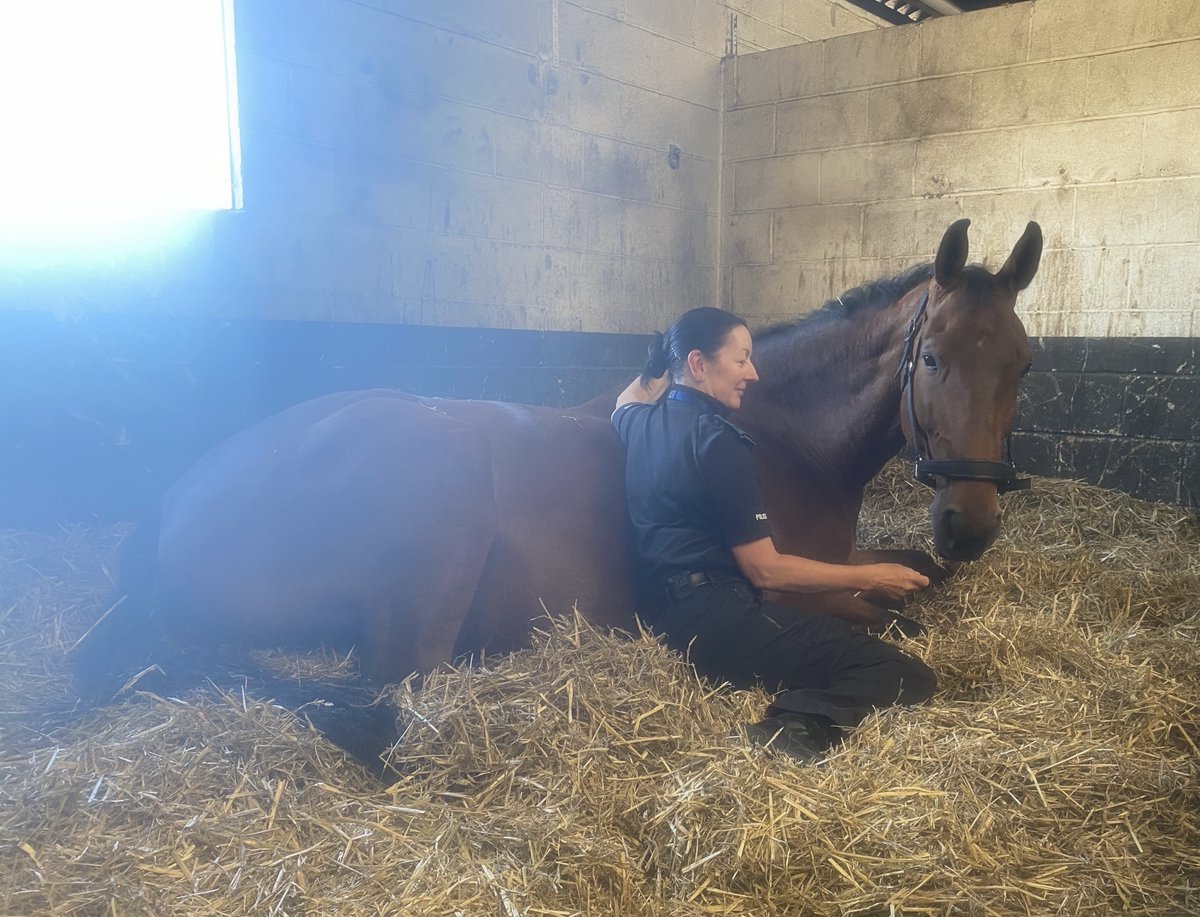 Pre-patrol briefing PH Clevedon style 🐴🥰 #teamwork #ivegotyourback