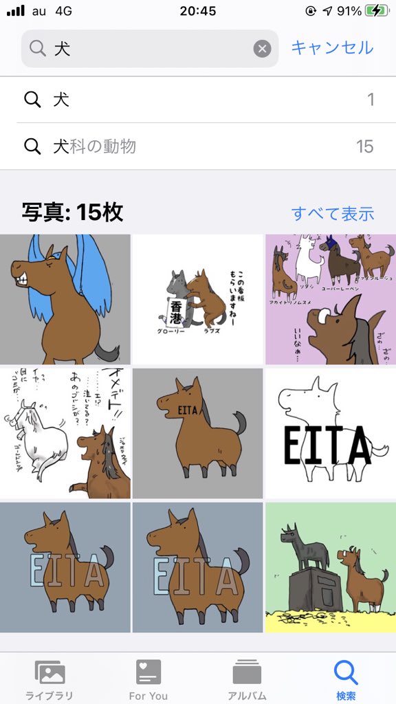 犬じゃねーよ!馬だよ!!
#iPhone画像検索 