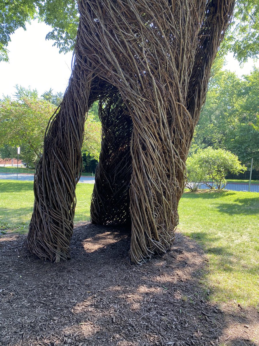 jlschuster827's tweet photo. Fantastic #artinstallation #sculpture @MarylandHall by #patrickdougherty https://t.co/x2I7MOc9JI