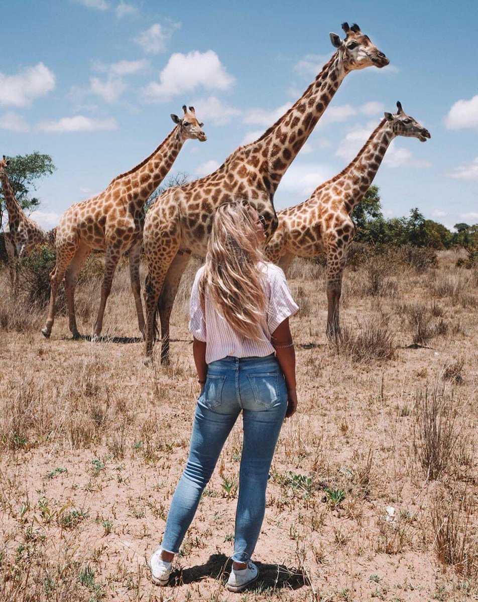 Trips By Pamushana tweet media