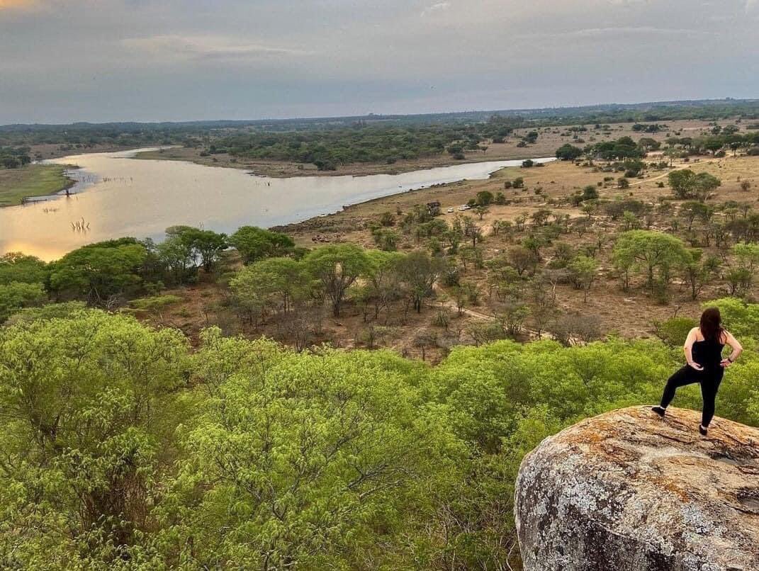 Trips By Pamushana tweet media