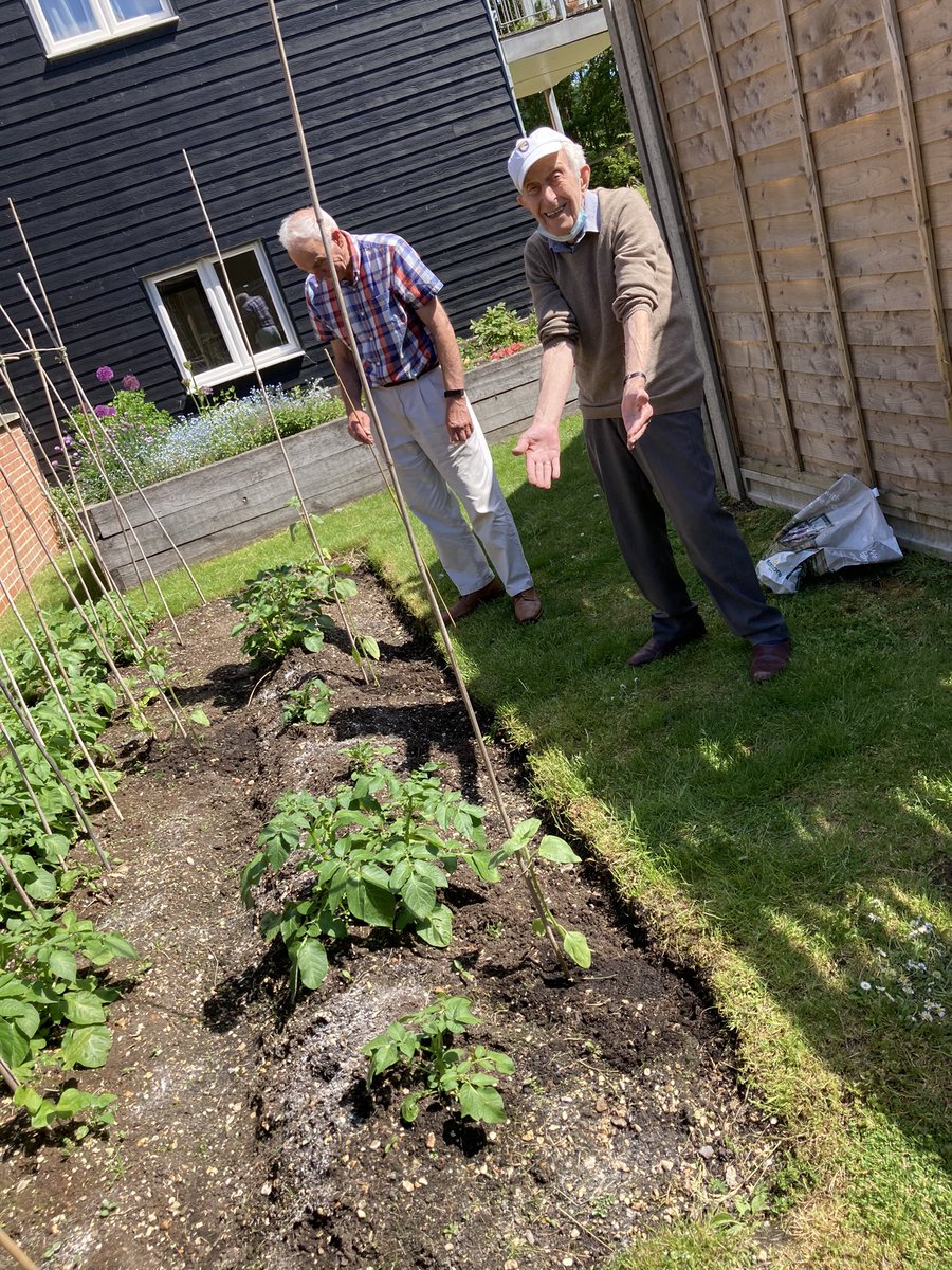 Let the Sunflower growing competition commence 🌻🌻🌻#independentliving @AnchorHanover