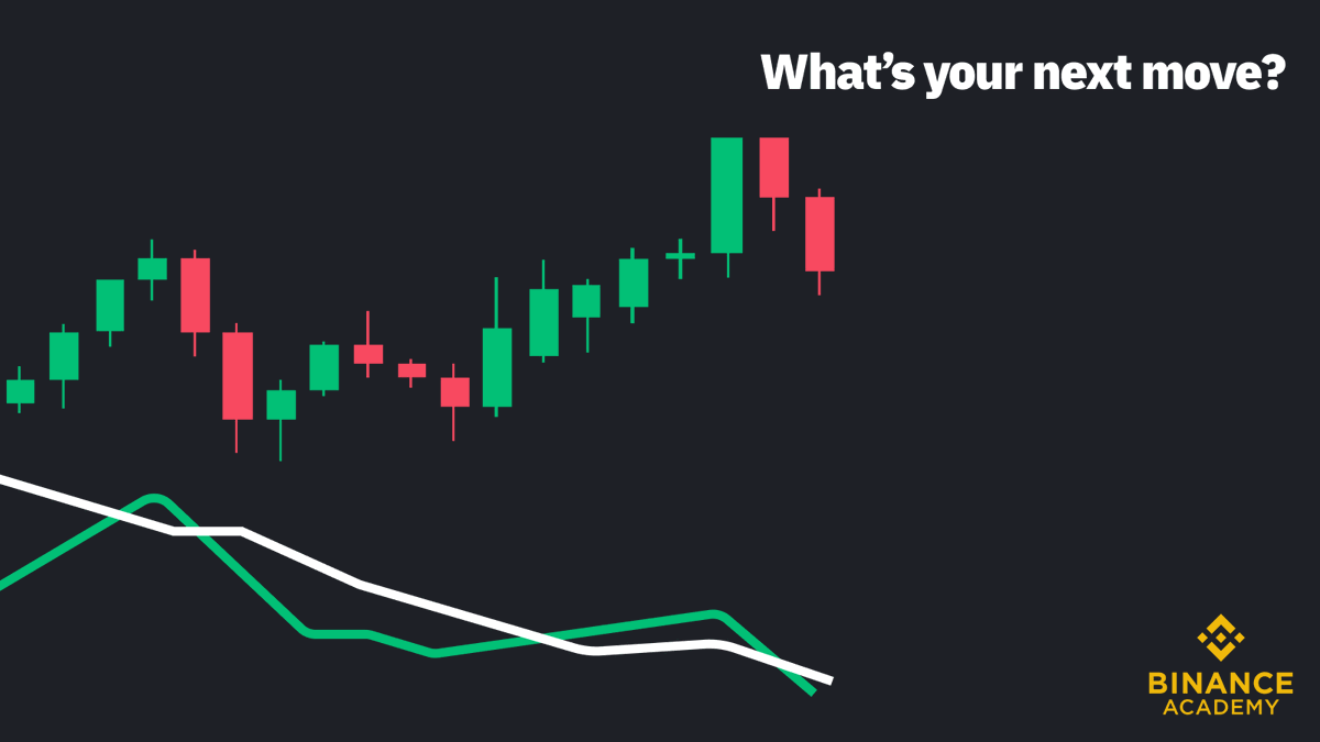 Kitten.cx tweet media