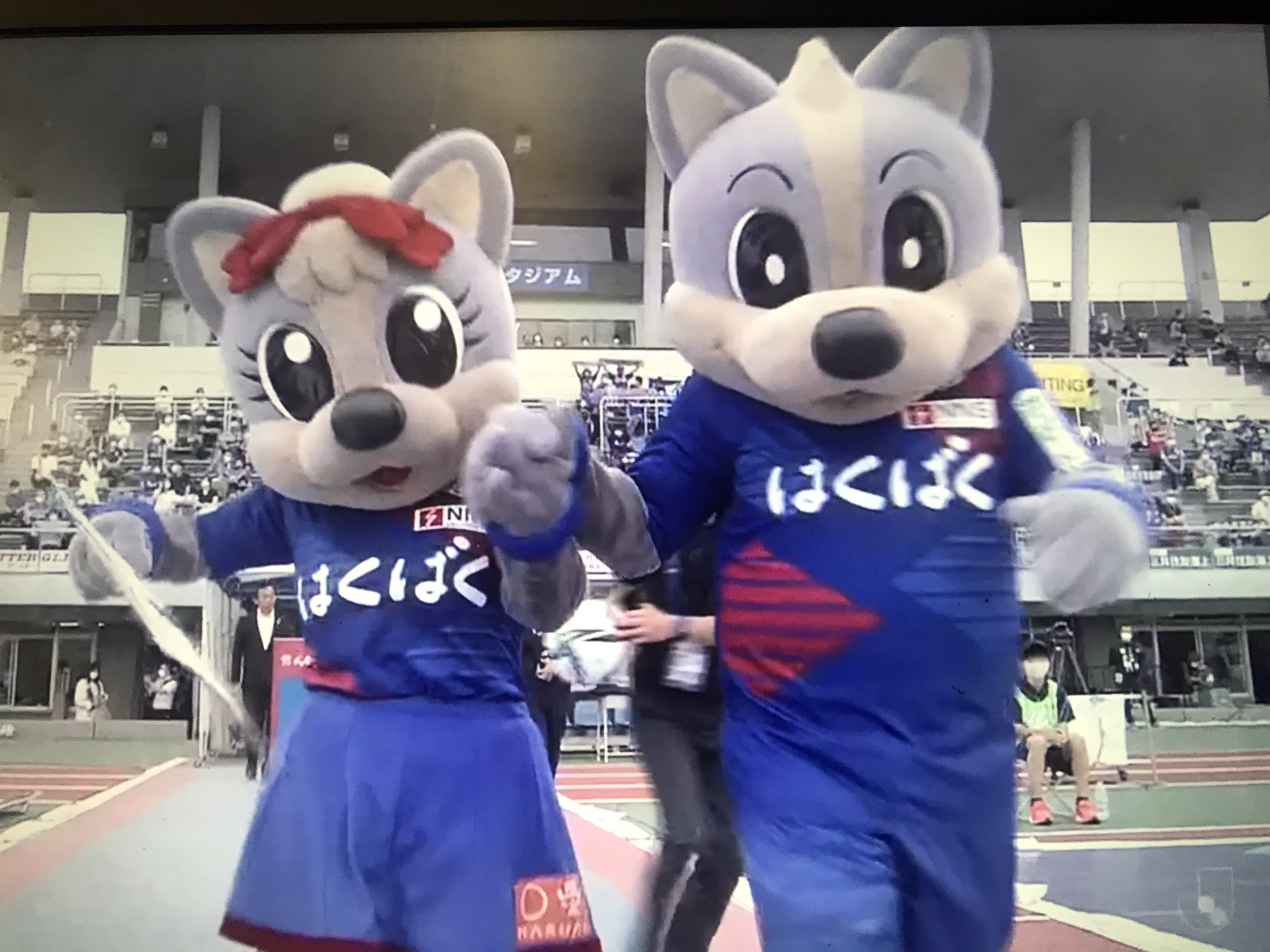 ヴァンくん 公式 では もし ぼくがふくしんさんにどうしてもえてきにレッドカードがほしかったので だしてくれとおねがいしてだしてもらった ばあいにはどうなりますか あーいとぅいまてーん ほんとうに いちマスコットにおつきあいくださ