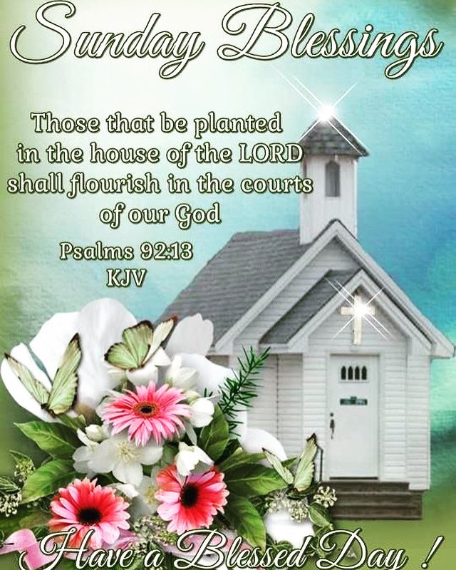 #churchday #timeforchurch #houseoftheLord #planted #flourishing