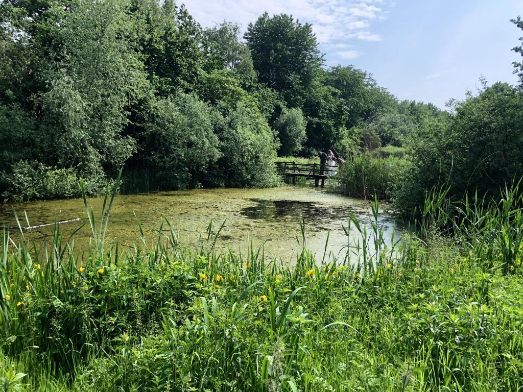 groot_ernest's tweet photo. Veldbezoek #LandmeerseLoop @gemGemertBakel @gemeente_boekel @aaenmaas 1. #natuurcentrum #DeSpecht #Handel, schitterende #heemtuin. @WNAaenMaas @DJMvD @GemertsNieuwsbl @Gemertsheem @EcodorpBoekel @DeBiezen_76 https://t.co/EG7qW09O7M