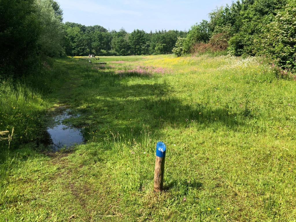 groot_ernest's tweet photo. Veldbezoek #LandmeerseLoop @gemGemertBakel @gemeente_boekel @aaenmaas 2. #breukenpad #Geopark #Peelhorst en #Maasvallei #BreukenBeleven, schitterende #wandelpad. @WNAaenMaas @DJMvD @GemertsNieuwsbl @Gemertsheem @EcodorpBoekel @DeBiezen_76 https://t.co/3xJuZ2eJBf