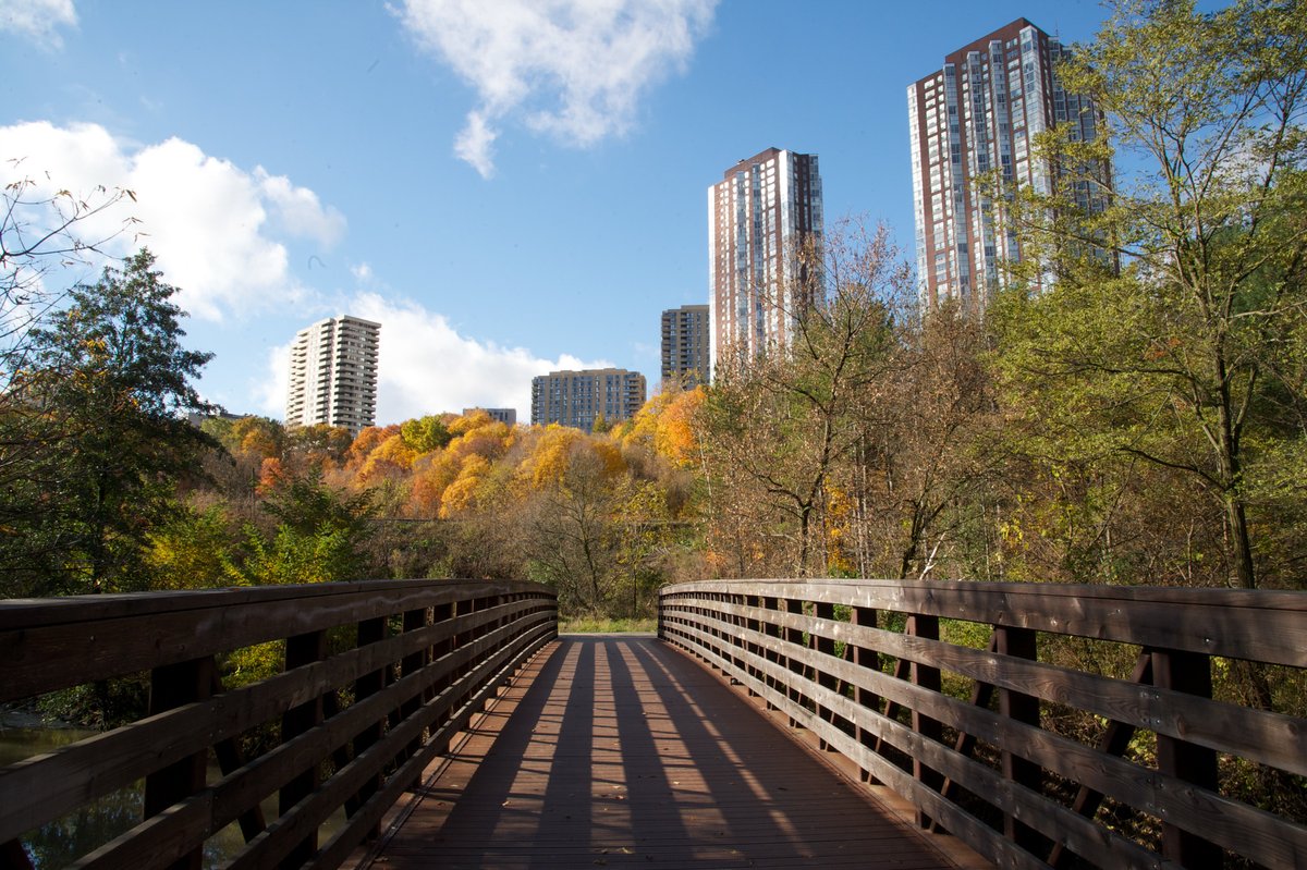 cityoftoronto's tweet photo. Toronto is full of ravines, paths, trails, corridors and museums with green spaces that are open and available everyday, even on weekends, for fresh air and exercise. https://t.co/1YWmgFaoOG #ActiveTO https://t.co/SIAqtGbUP6
