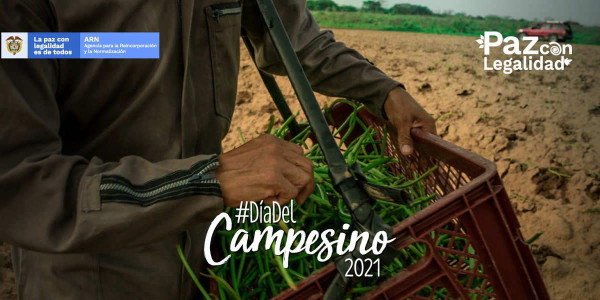 Agencia para la Reincorporación y la Normalización tweet media