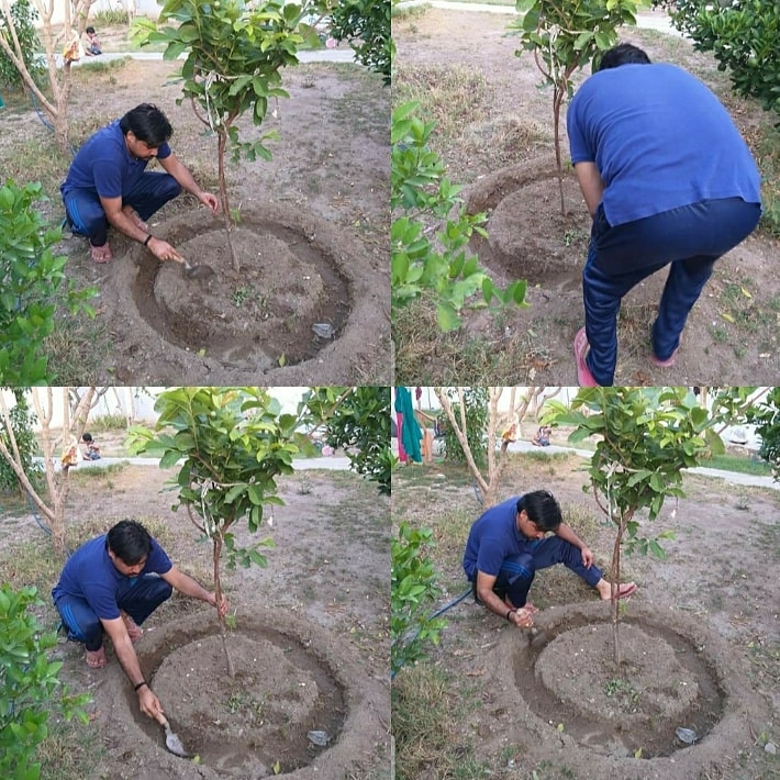 Dheeraj0893's tweet photo. @CandorTechSpace I love spending time in nature. It makes you happier, it boosts your immune system, and it even makes you more creative. 
 #WorldEnvironmentDay  #RestoreForGood
#RestoreForGoodContest 

@poonamtrilok659 
@DJ_Bhayani 
@KDivya18740584 https://t.co/5Qhty2O4Xa