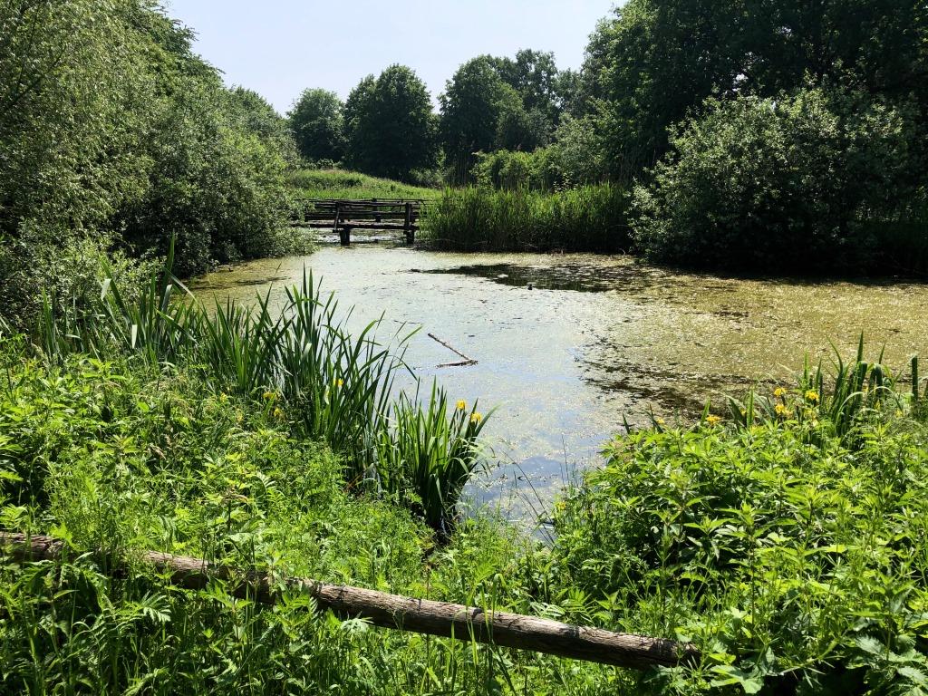 groot_ernest's tweet photo. Veldbezoek #LandmeerseLoop @gemGemertBakel @gemeente_boekel @aaenmaas 3. #waterconservering #wateraanvoer #Peelhorst, beperken #droogval van belang. @WNAaenMaas @DJMvD @GemertsNieuwsbl @Gemertsheem @EcodorpBoekel @DeBiezen_76 https://t.co/6x7vaXthUV