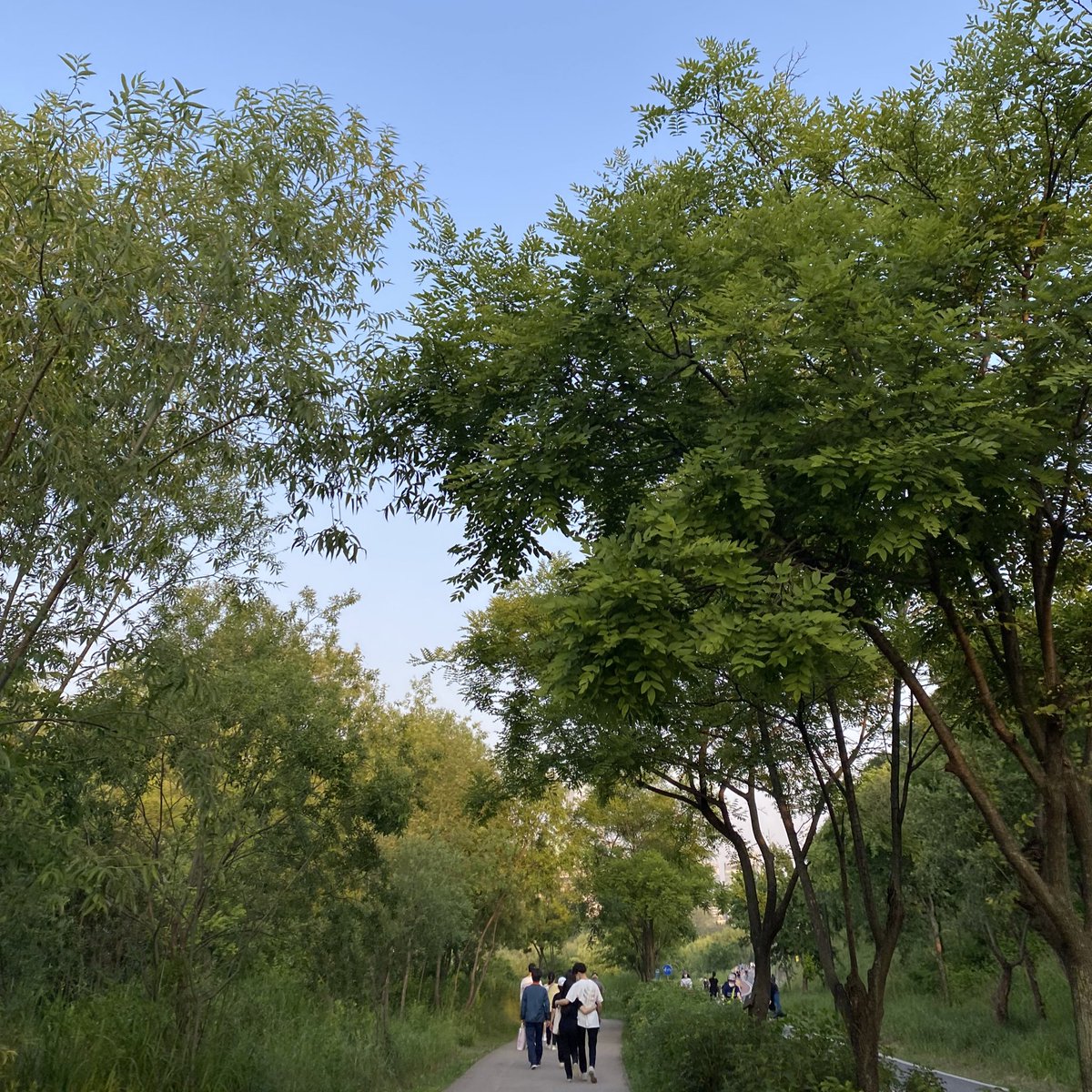 rui_diary00's tweet photo. 한강でお散歩してきた💚💚💚
涼しくて気持ちよかった🍃 https://t.co/b4hAUMFo1O